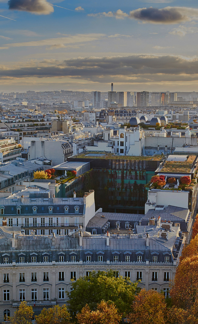 panoramic view of the city of Paris