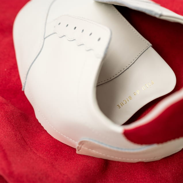 assembly of pieces of leather for making white shoes