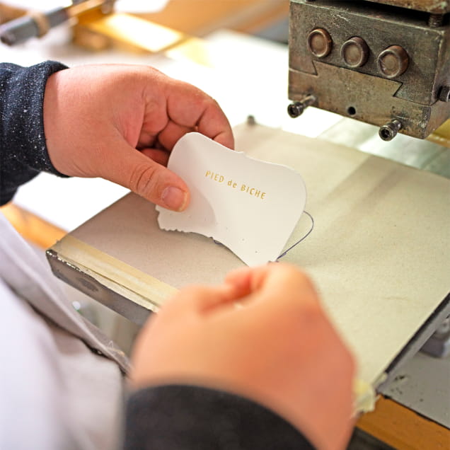 pieces of white shoe strips