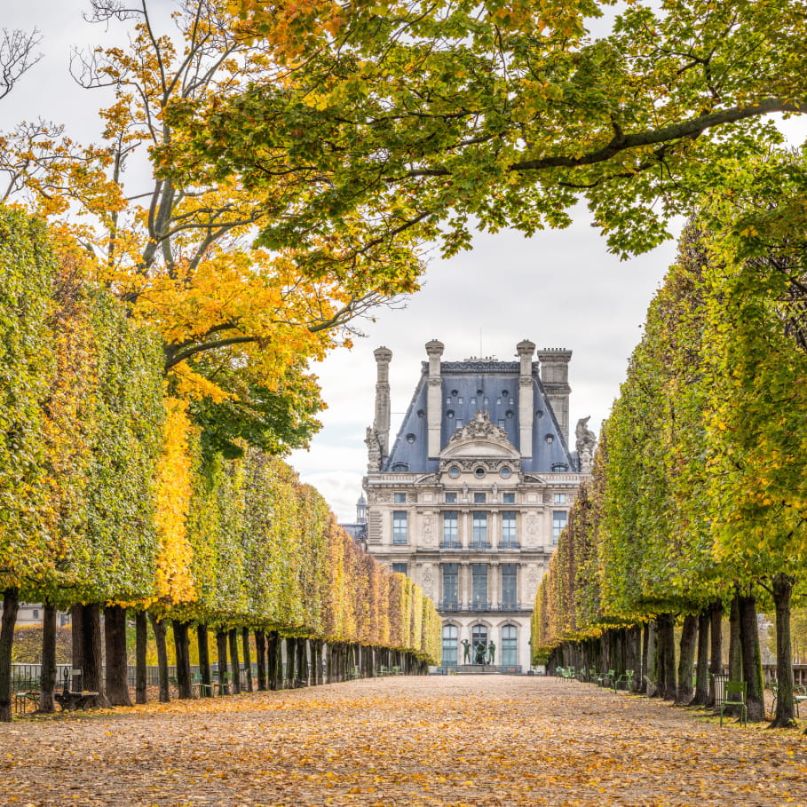 Jardin des Tuileries in Paris