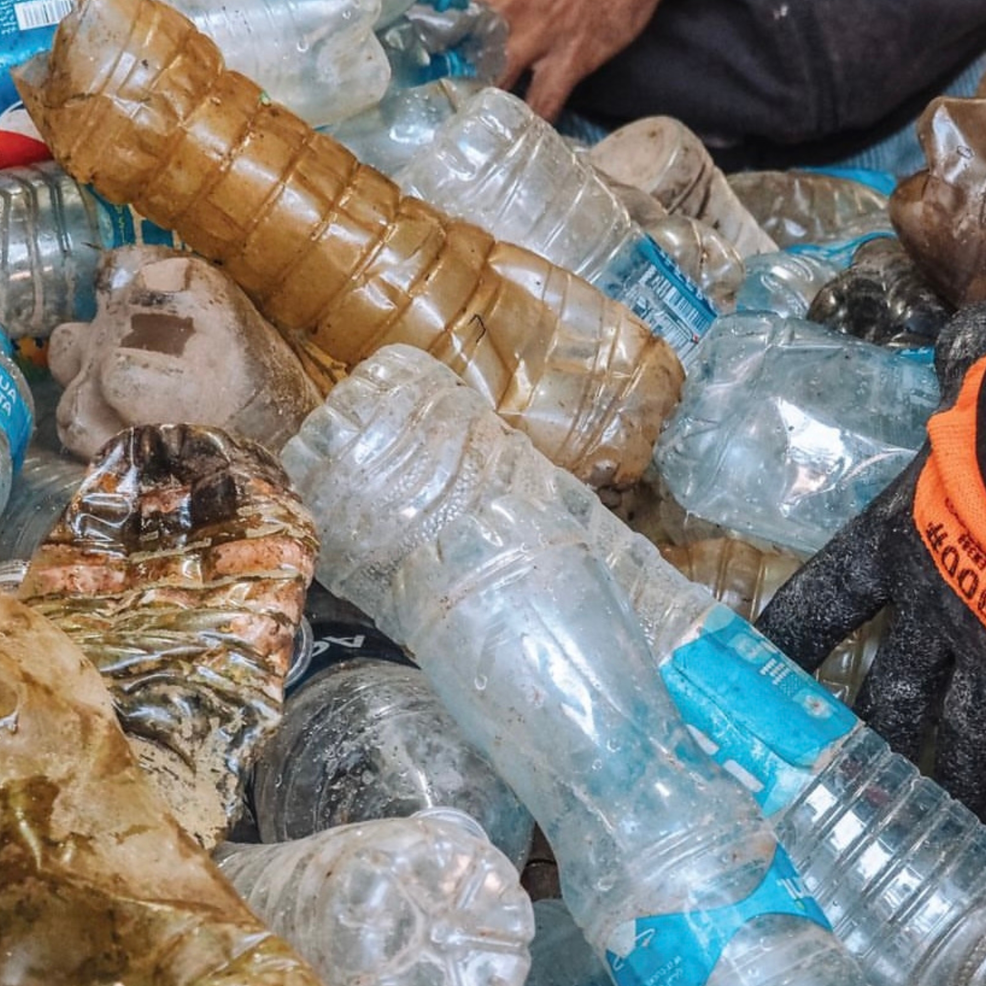 pollution à cause des bouteilles plastiques